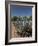 Agave Plants from Which Tequila Is Made, Hacienda San Jose Del Refugio, Amatitan, Jalisco-Richard Maschmeyer-Framed Photographic Print