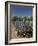 Agave Plants from Which Tequila Is Made, Hacienda San Jose Del Refugio, Amatitan, Jalisco-Richard Maschmeyer-Framed Photographic Print