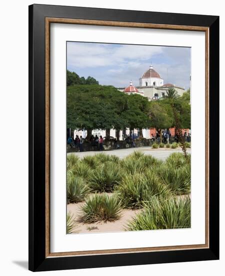 Agave Plants Used for Making Mezcal, Oaxaca City, Oaxaca, Mexico, North America-R H Productions-Framed Photographic Print