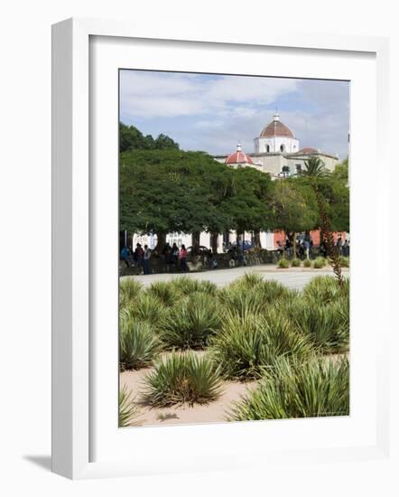 Agave Plants Used for Making Mezcal, Oaxaca City, Oaxaca, Mexico, North America-R H Productions-Framed Photographic Print