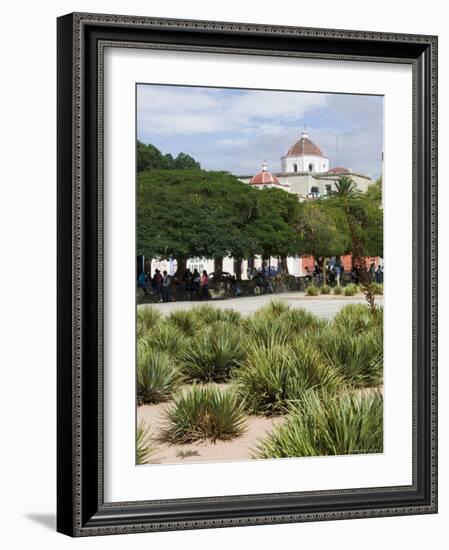 Agave Plants Used for Making Mezcal, Oaxaca City, Oaxaca, Mexico, North America-R H Productions-Framed Photographic Print