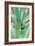 Agave Succulent #3-Alan Blaustein-Framed Photographic Print