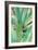 Agave Succulent #3-Alan Blaustein-Framed Photographic Print