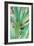 Agave Succulent #3-Alan Blaustein-Framed Photographic Print