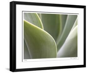 Agave V-Joy Doherty-Framed Giclee Print