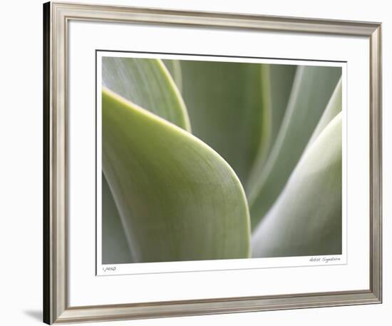 Agave V-Joy Doherty-Framed Giclee Print