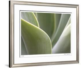 Agave V-Joy Doherty-Framed Giclee Print