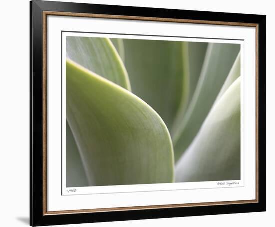 Agave V-Joy Doherty-Framed Giclee Print