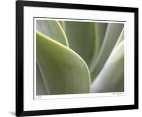 Agave V-Joy Doherty-Framed Giclee Print