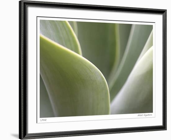 Agave V-Joy Doherty-Framed Giclee Print