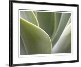 Agave V-Joy Doherty-Framed Giclee Print
