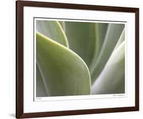 Agave V-Joy Doherty-Framed Giclee Print