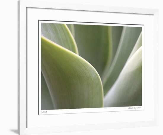 Agave V-Joy Doherty-Framed Giclee Print