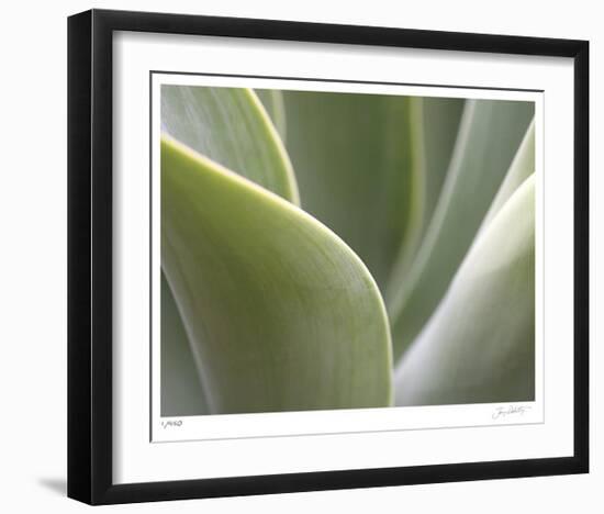 Agave V-Joy Doherty-Framed Limited Edition