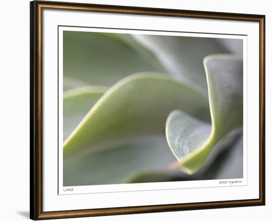 Agave VI-Joy Doherty-Framed Giclee Print