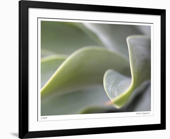 Agave VI-Joy Doherty-Framed Giclee Print