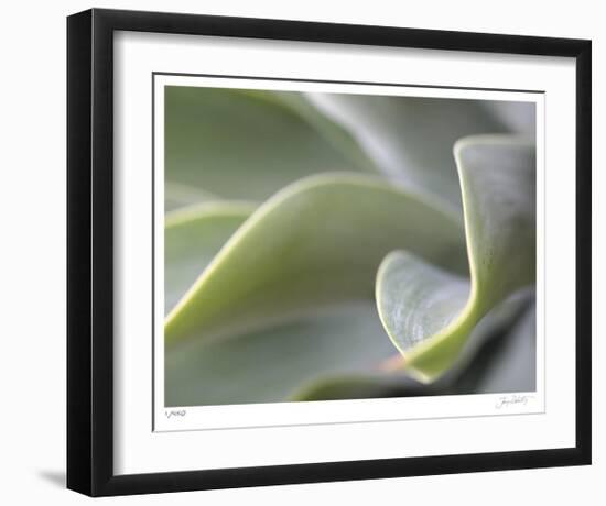 Agave VI-Joy Doherty-Framed Limited Edition