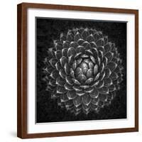 Agave Victoria-Moises Levy-Framed Photographic Print