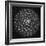 Agave Victoria-Moises Levy-Framed Photographic Print