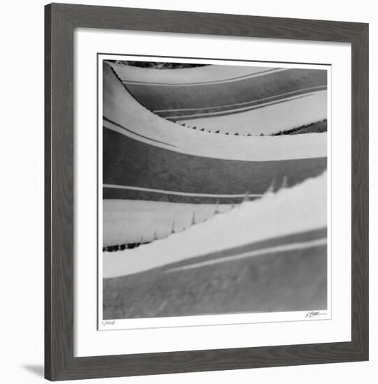 Agave Waves 1-Edward Asher-Framed Giclee Print