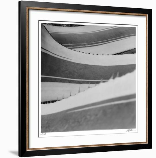 Agave Waves 1-Edward Asher-Framed Giclee Print