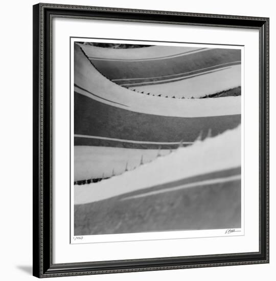 Agave Waves 1-Edward Asher-Framed Giclee Print