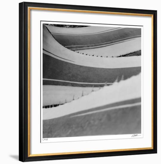 Agave Waves 1-Edward Asher-Framed Giclee Print