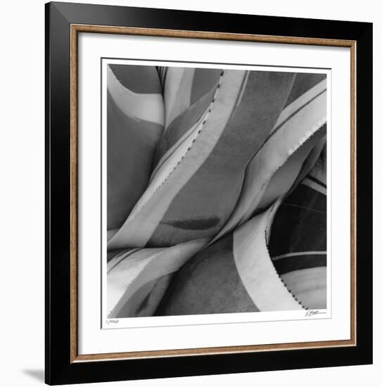 Agave Waves 2-Edward Asher-Framed Giclee Print