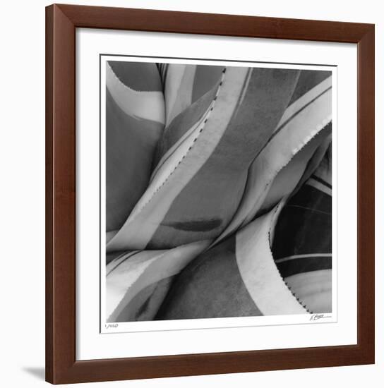 Agave Waves 2-Edward Asher-Framed Giclee Print