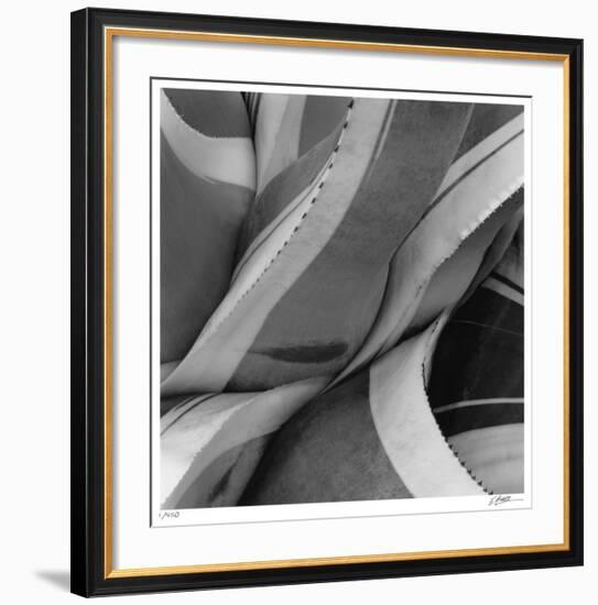 Agave Waves 2-Edward Asher-Framed Giclee Print