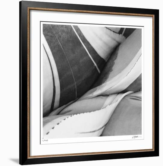 Agave Waves 3-Edward Asher-Framed Giclee Print