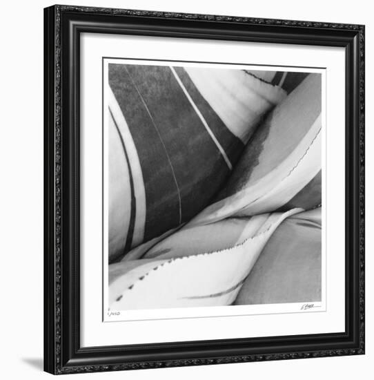 Agave Waves 3-Edward Asher-Framed Giclee Print