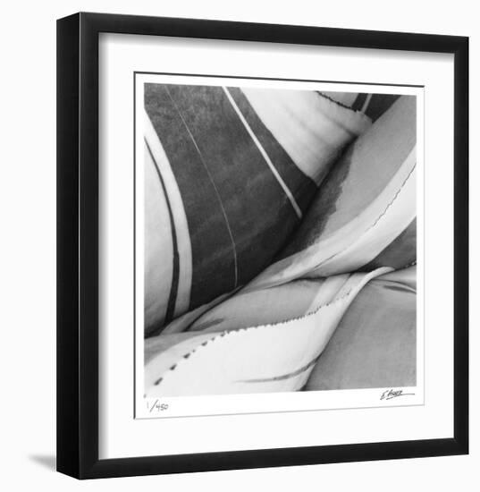 Agave Waves 3-Edward Asher-Framed Limited Edition