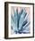 Agave with Coral-Alana Clumeck-Framed Art Print