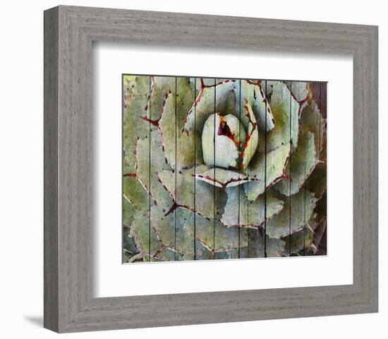 Agave-null-Framed Art Print