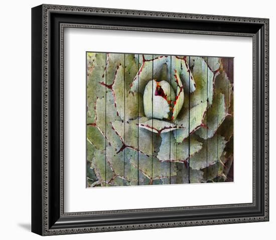 Agave-null-Framed Art Print