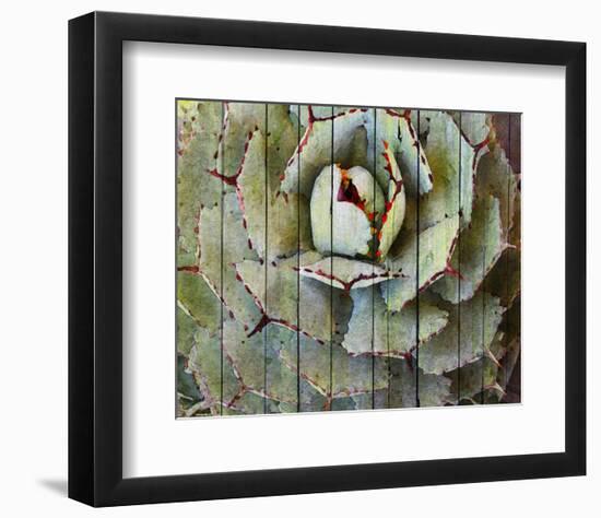 Agave-null-Framed Art Print