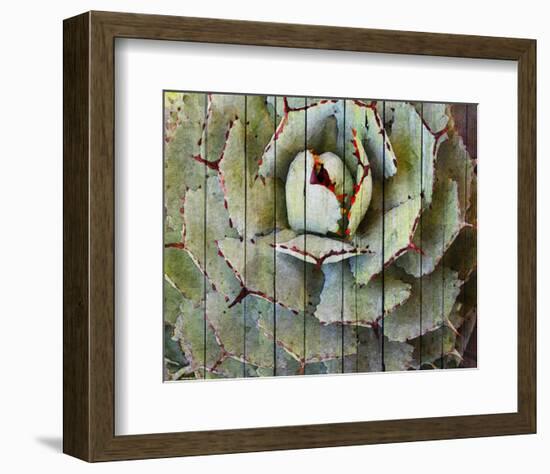 Agave-null-Framed Art Print