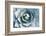 Agave-Rob Tilley-Framed Photographic Print