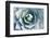 Agave-Rob Tilley-Framed Photographic Print