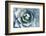 Agave-Rob Tilley-Framed Photographic Print