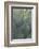 Agave-DLILLC-Framed Photographic Print