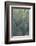 Agave-DLILLC-Framed Photographic Print