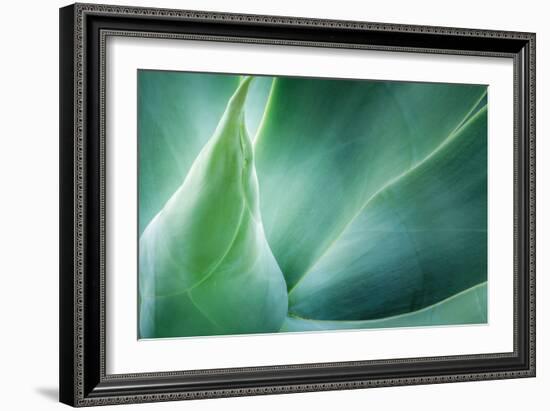 Agave-PhotoINC Studio-Framed Photographic Print