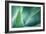 Agave-PhotoINC Studio-Framed Photographic Print