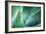 Agave-PhotoINC Studio-Framed Photographic Print