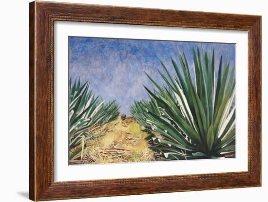 Agaves with Blue Sky, 2004-Pedro Diego Alvarado-Framed Premium Giclee Print