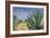 Agaves with Blue Sky, 2004-Pedro Diego Alvarado-Framed Premium Giclee Print