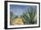 Agaves with Blue Sky, 2004-Pedro Diego Alvarado-Framed Premium Giclee Print