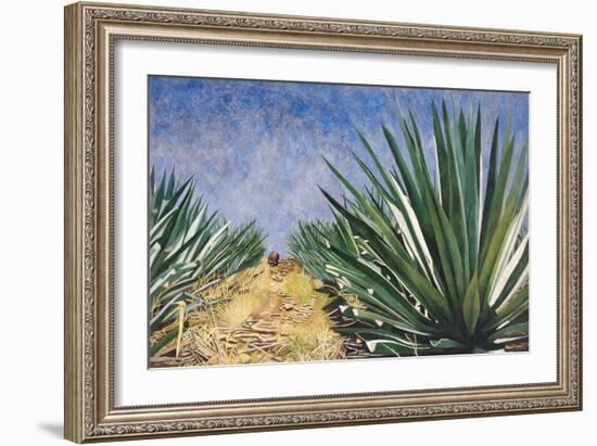 Agaves with Blue Sky, 2004-Pedro Diego Alvarado-Framed Giclee Print